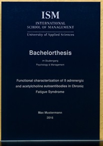 Internation business School of Management (ISM) Bachelorarbeit