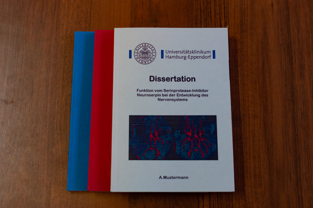 Dissertation in DIN A5