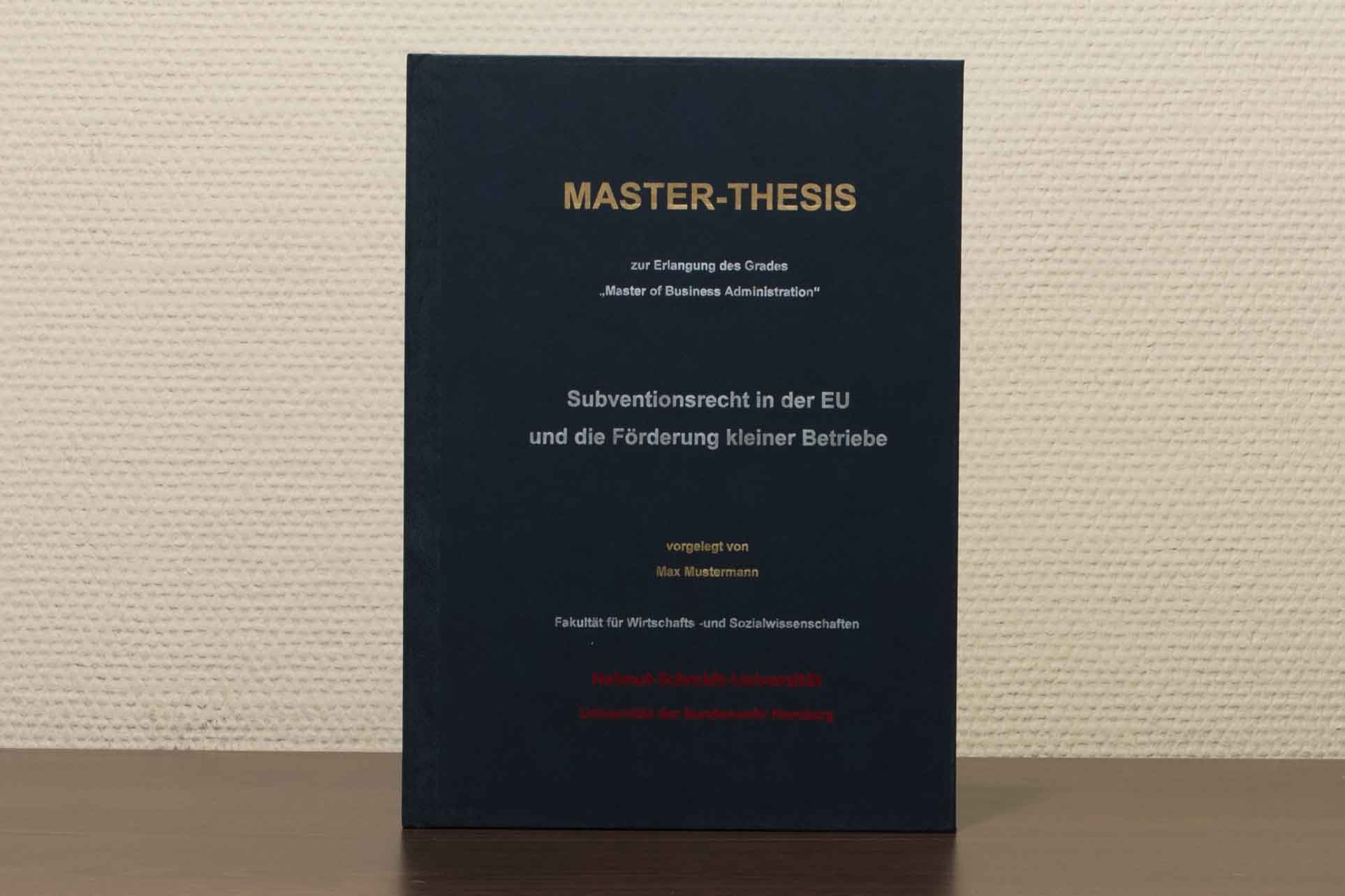 master thesis im ausland